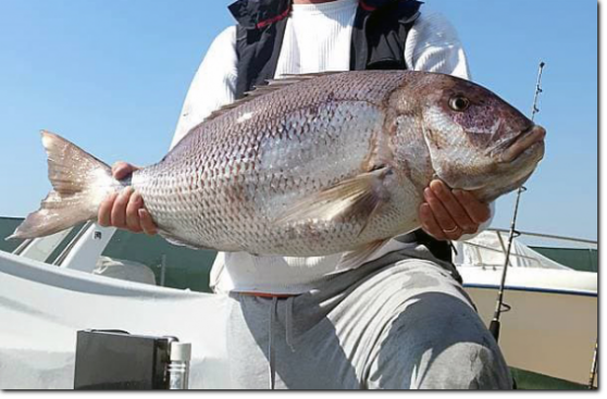 ESCA PER LA PESCA