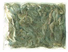 Gamberetti-escavivamare.jpg